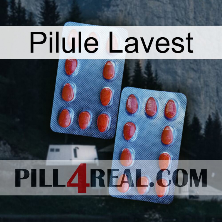 Lavest Pill 05